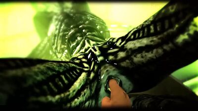 Xenomorph Play