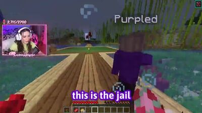 [Hannahxxrose] My first day on the Dream SMP.